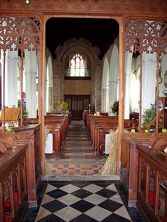 South Tawton - Looking West